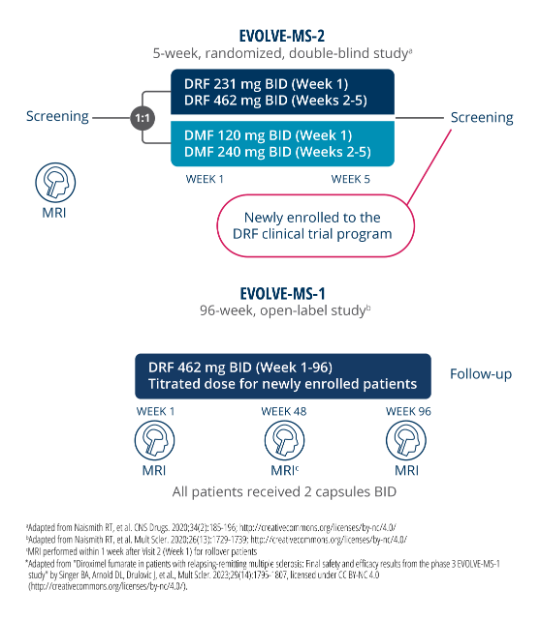 NEDA-3 study design flow chart